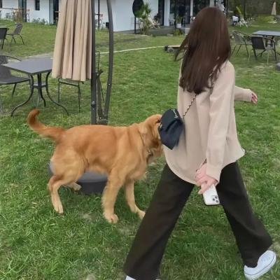 闯关东前传
